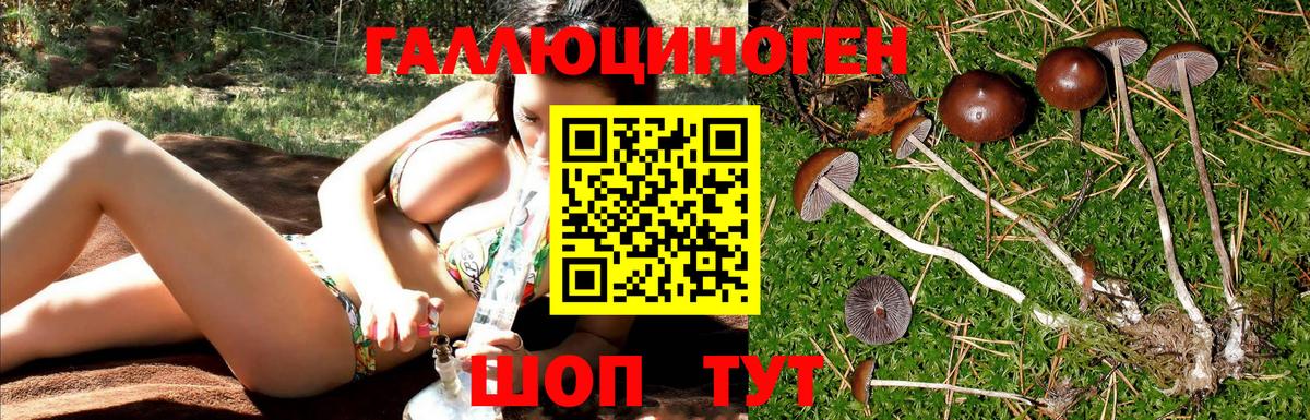 Галлюциногенные грибы мицелий  цены наркотик  Галлюциногенные грибы MAGIC MUSHROOMS  Отрадный  Вход с VPN 