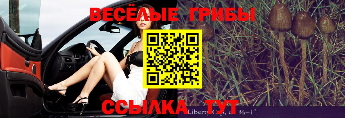 Псилоцибиновые грибы мицелий Отрадный
